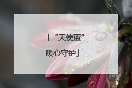 “天使蓝” 暖心守护